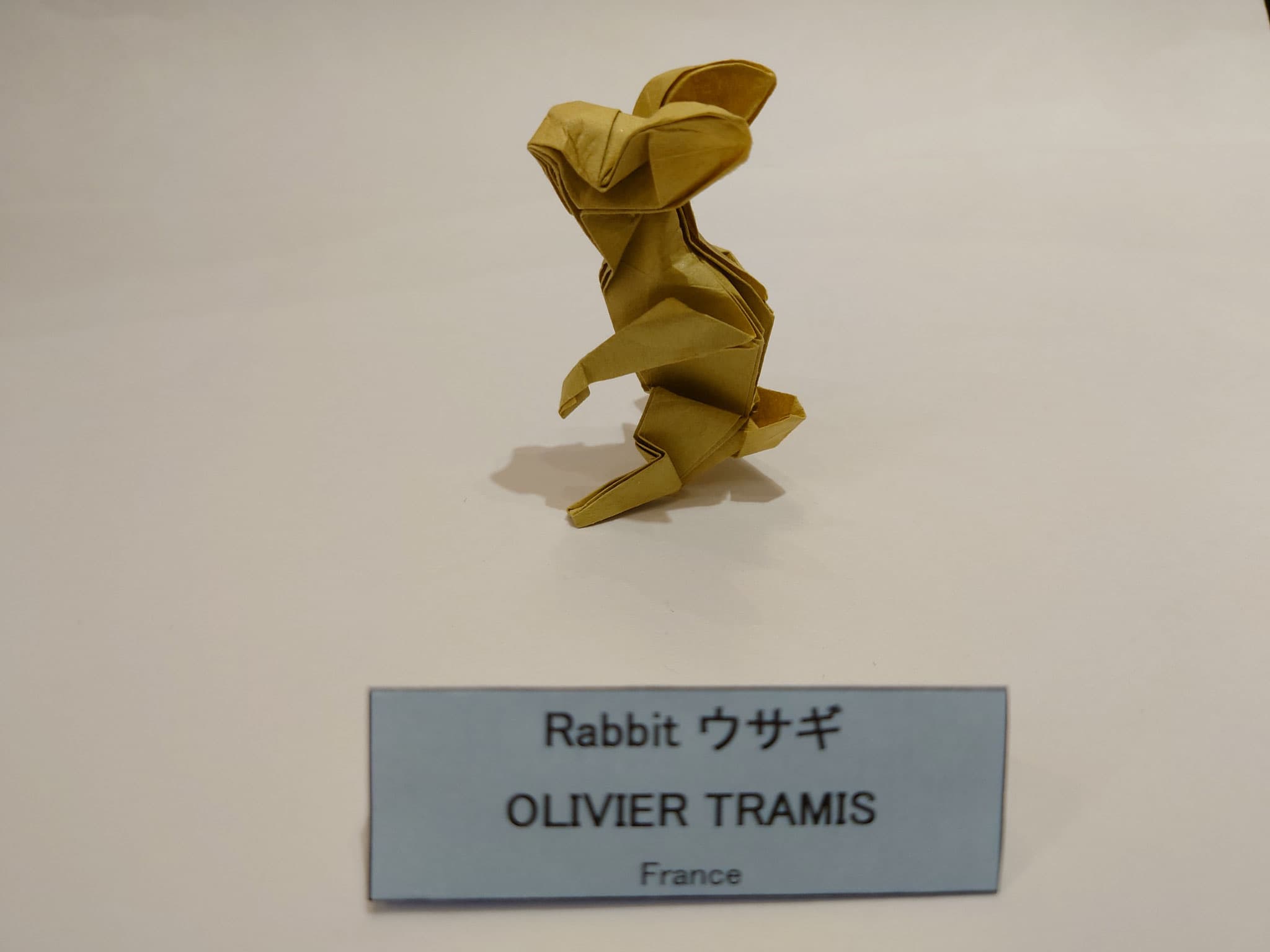 おりがみ作品ギャラリー掲載画像